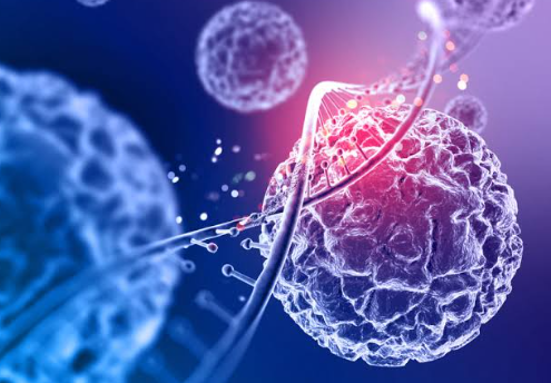 Exosomas para Medicina Regenerativa