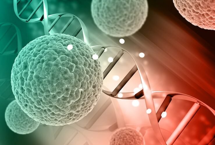 Exosomas para Medicina Regenerativa