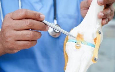 asian-doctor-holding-spinal-nerve-bone-model-lumbar-spine-displaced-herniated-disc-fragment-treatment-medical-orthopedic-department_622428-10982